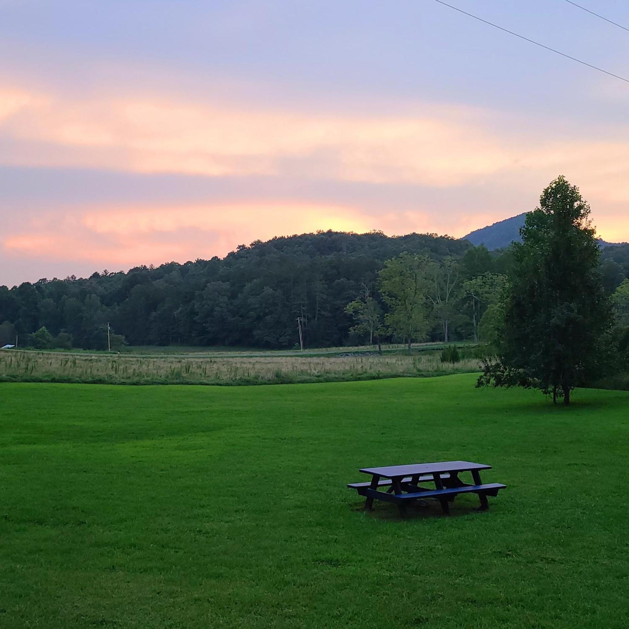 Cozy Cottage With Full View Of The Mountains! بلو ريدج المظهر الخارجي الصورة